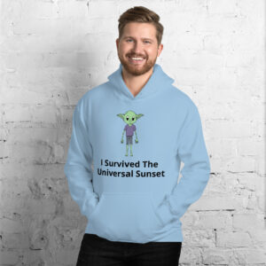 I Survived The Universal Sunset - Unisex Hoodie - Color
